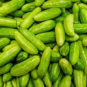 Fresh Tindora Ivy Gourd