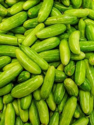 Fresh Tindora Ivy Gourd