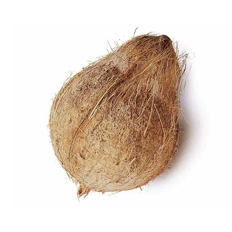 Fresh Coconut